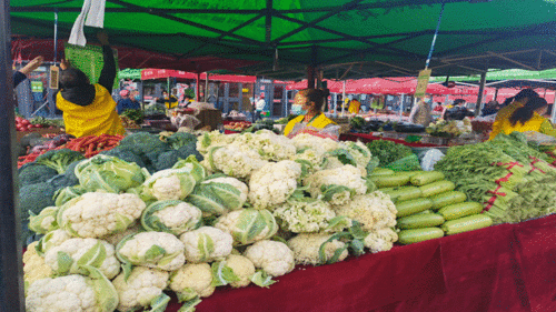开市啦！日用百货市场繁荣景象