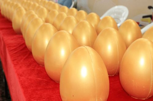 现代日用百货城全新亮相，浙江食品市场再添消费新地标